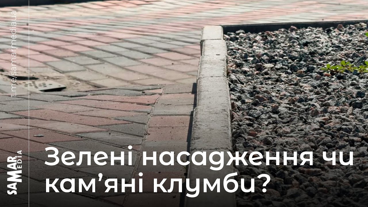 Сотні тисяч гривень на нові дерева замість старих
