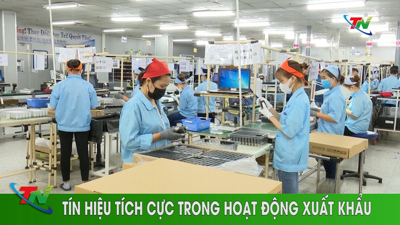 Tín hiệu tích cực trong hoạt động xuất khẩu