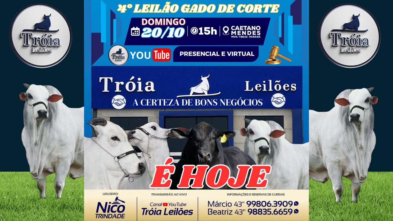 4° Leilão Gado de Corte - Recinto Caetano Mendes - TIBAGI/PR | DOMINGO - 20/10 - 15h