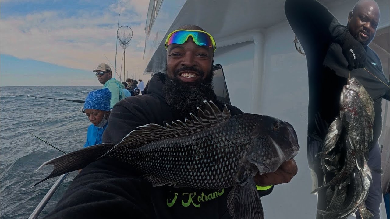 MASSIVE Virginia Beach Sea Bass onslaught! Triggerfish on the Rudee Tours fishing charter.   4K