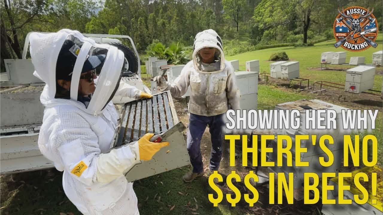 Beekeeping Education | Fears Of Tropilaelaps & Varroa Mite