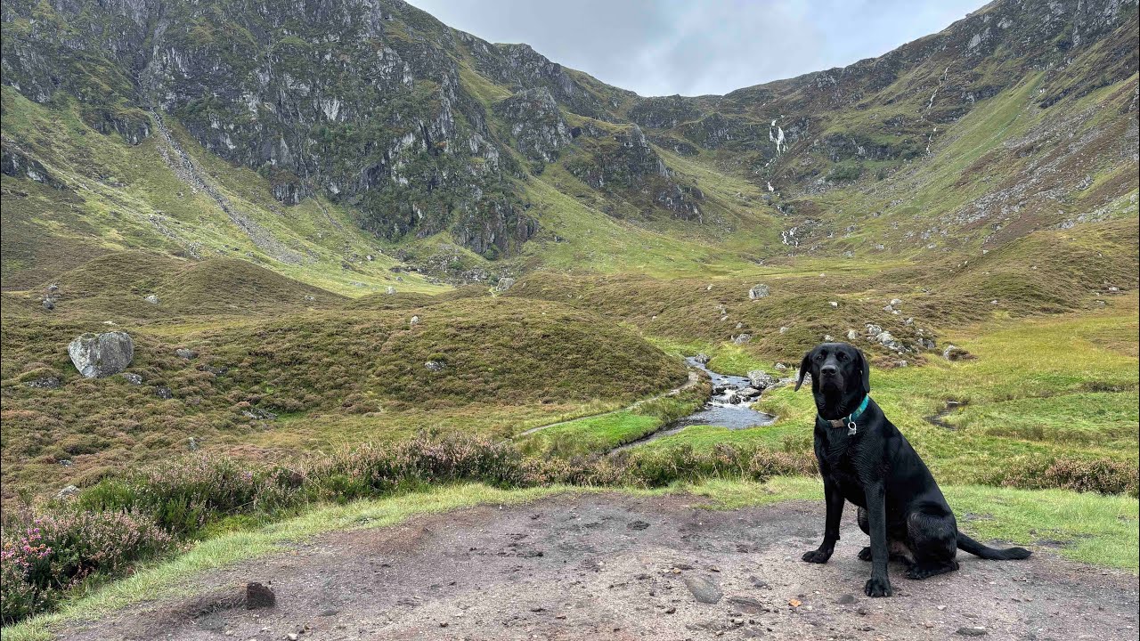 Mayar and Driesh - A VERY Busy Day Up These Popular Munros