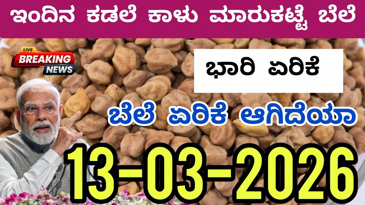 Today Chickpea Market Rate | 13-03-2026 | ಇಂದಿನ ಕಡಲೆ ಕಾಳು ಮಾರುಕಟ್ಟೆ ಬೆಲೆ #agriculture #marketing 