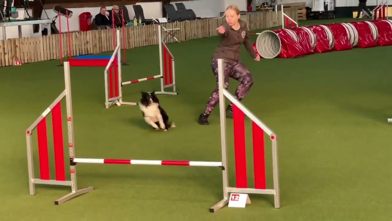 NUII – First agility runs in grade 3