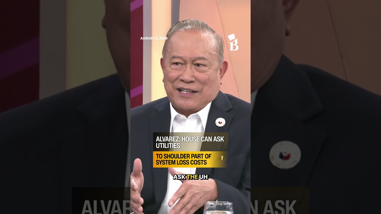 Alvarez: House can ask utilities to shoulder part of system loss costs