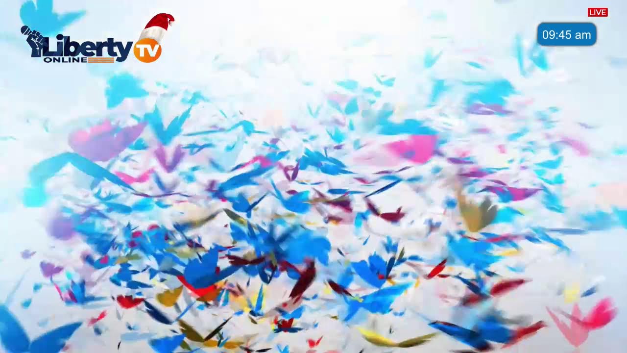 Energy investments and impact