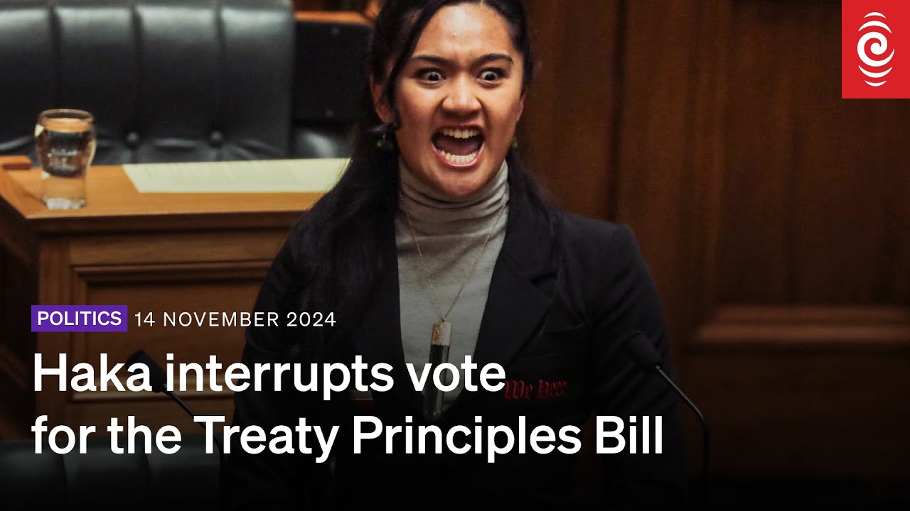 Treaty Principles Bill: Haka interrupts vote, House suspended by Speaker Gerry Brownlee | RNZ