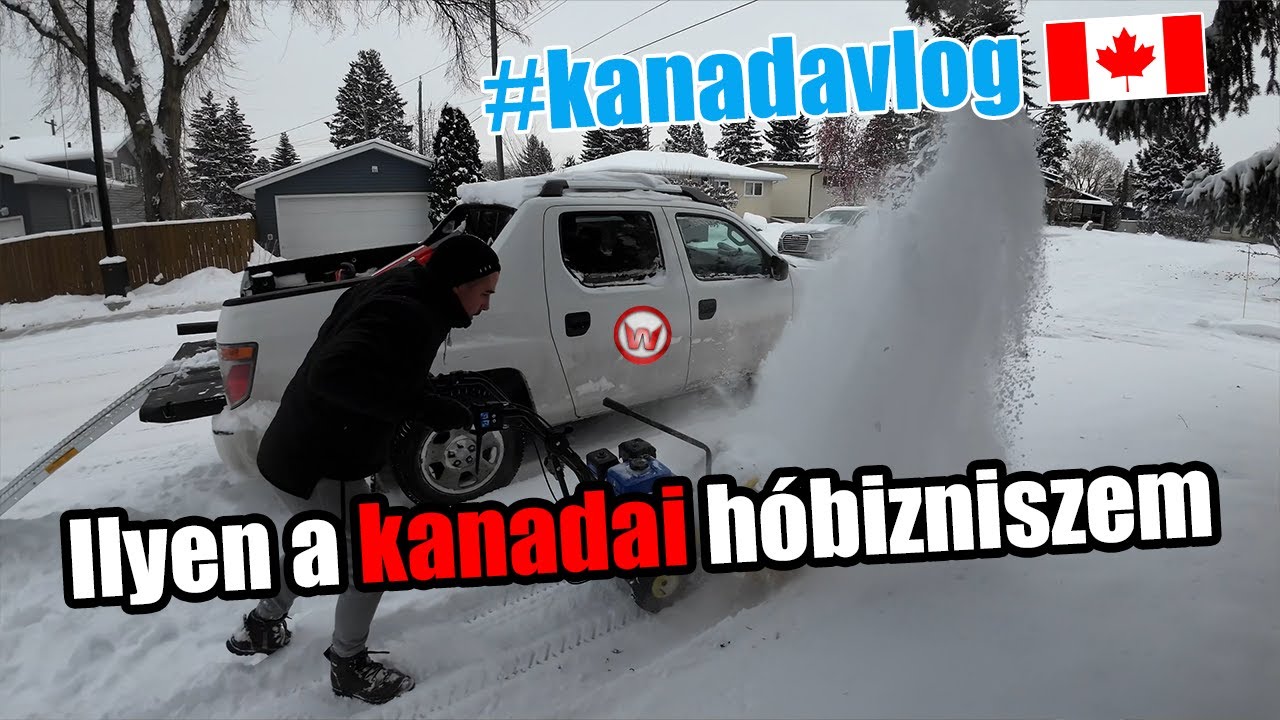 Ebbe vágtam bele a nyári kertész szezon után a kanadai vállalkozásommal!