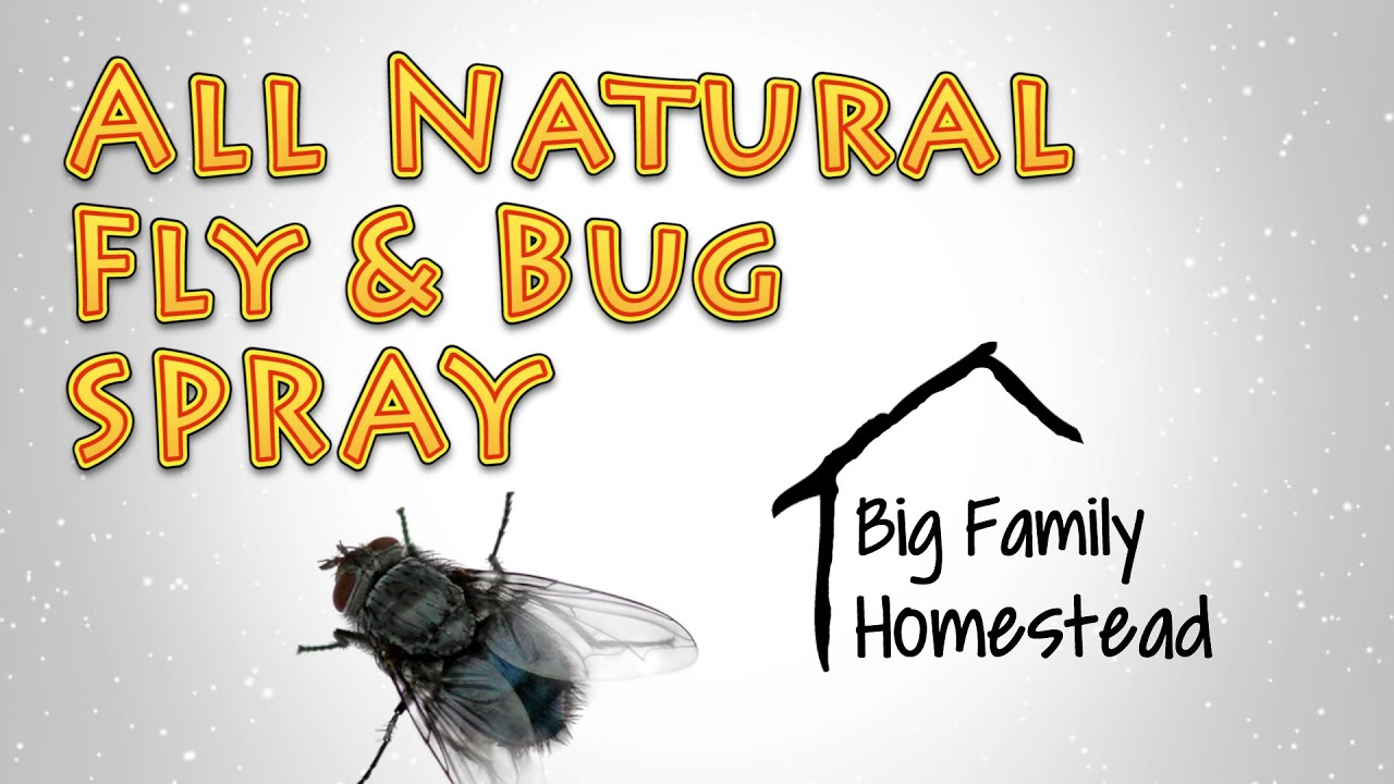 All Natural Fly Spray and INFO