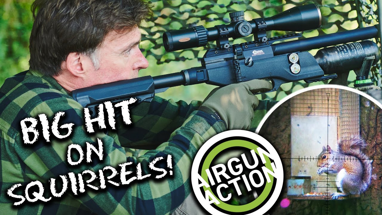 Airgun Action | How to shoot more squirrels with an airgun | Umarex ReadyAir Compressor review