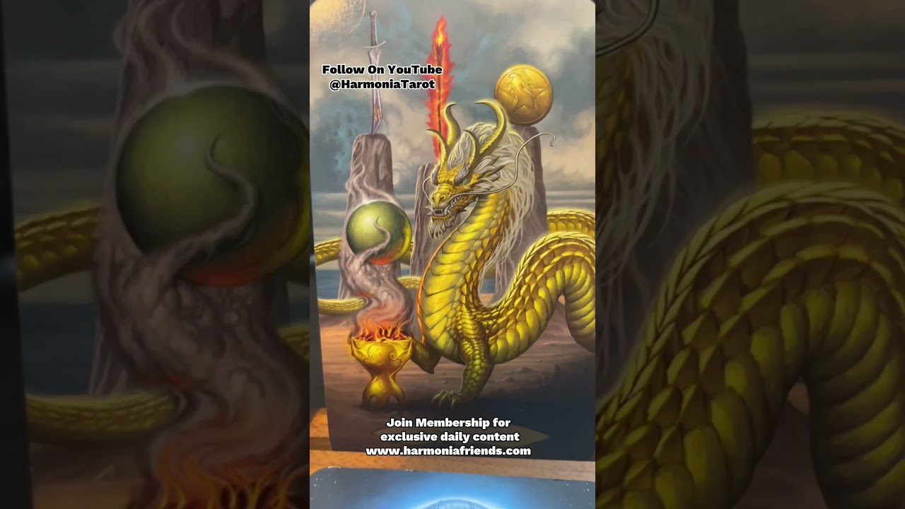 Tarot Message | Moving Closer To One Another! ✈️🚗❤️#lovetarot #timelesstarot