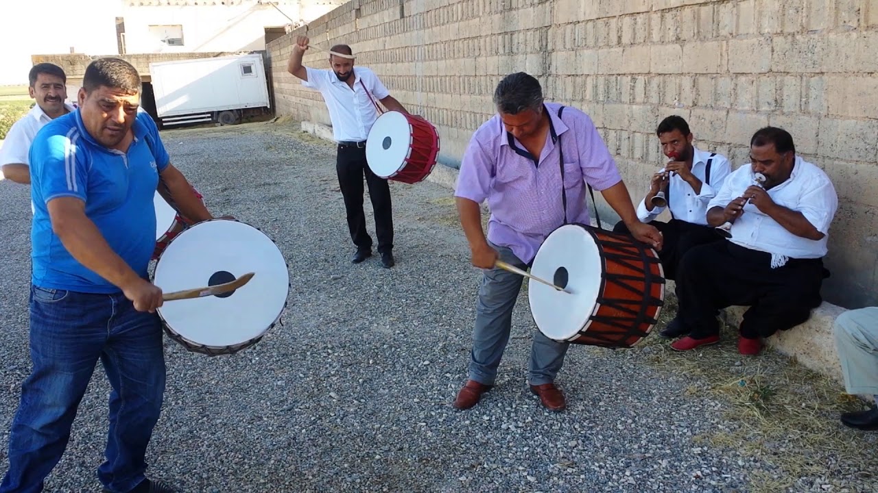 Davul Zurna Fasil(BARAK)