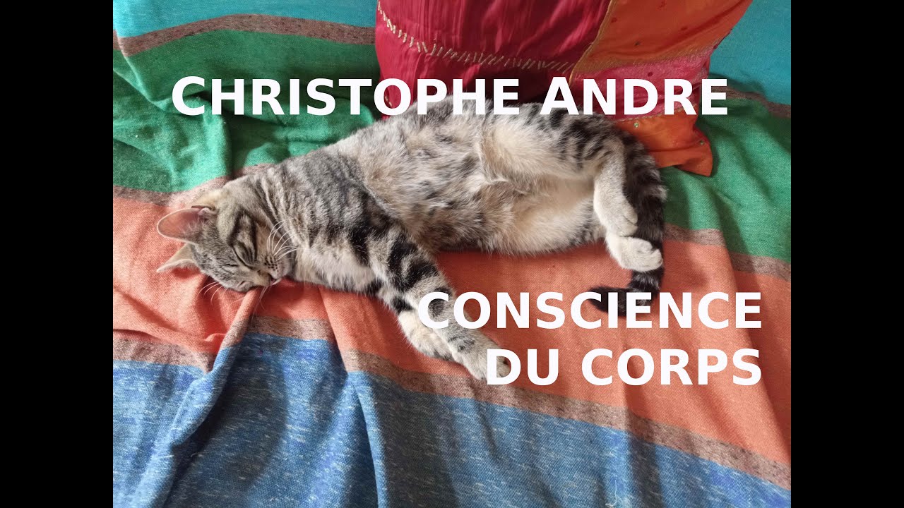 24min méditation Christophe André Prendre Conscience du Corps - version plus longue et moins guidée
