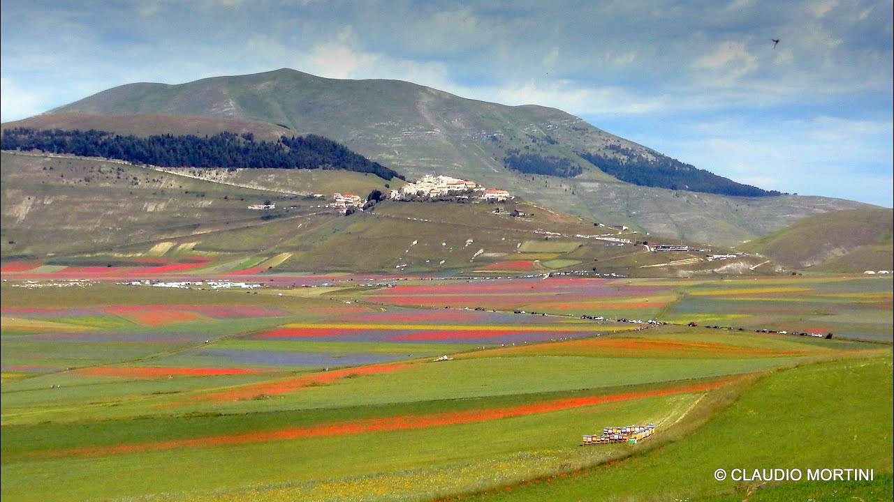 CASTELLUCCIO DI NORCIA - LA FIORITURA 2020 - 4k