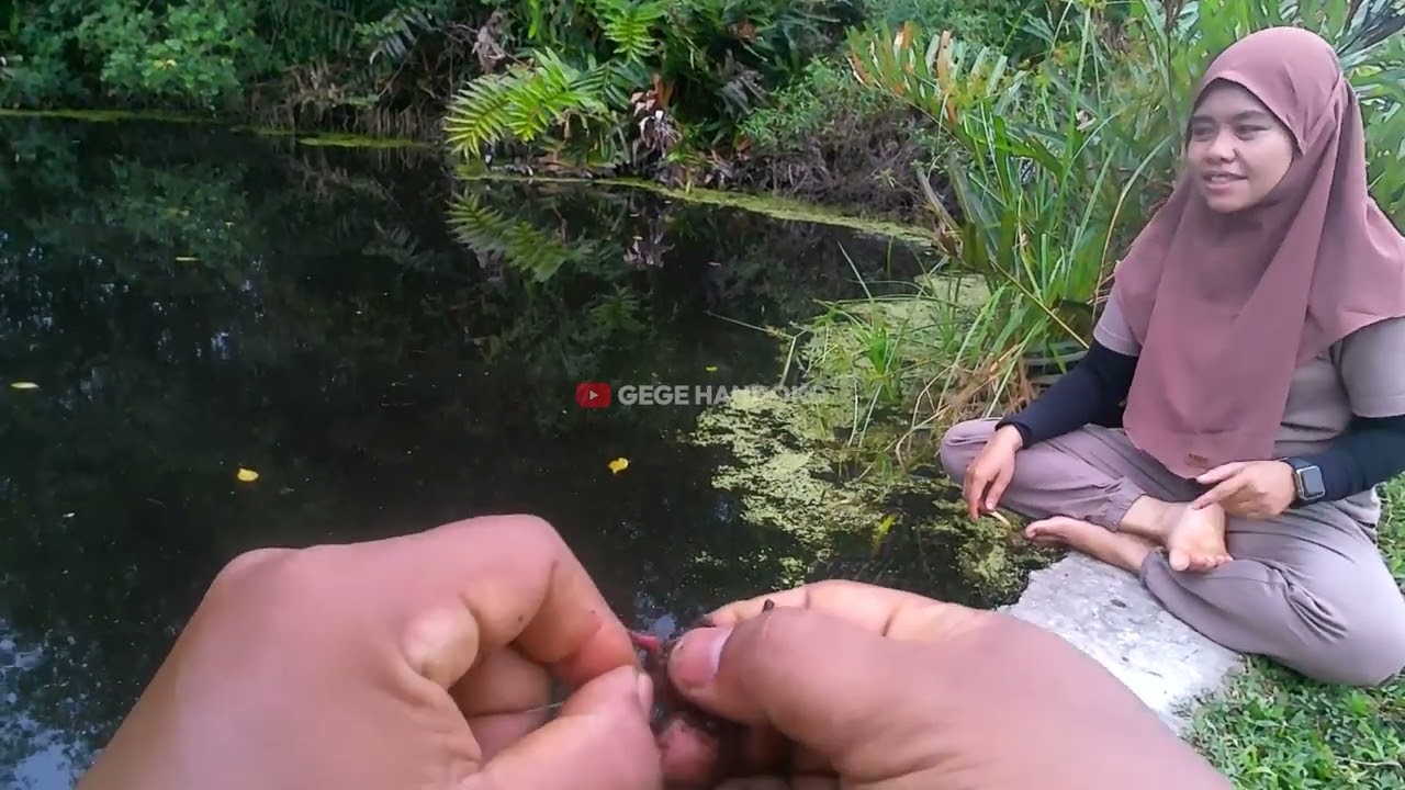 Mancing Ikan Papuyu Bareng Istri🎣Langsung Strike🐟