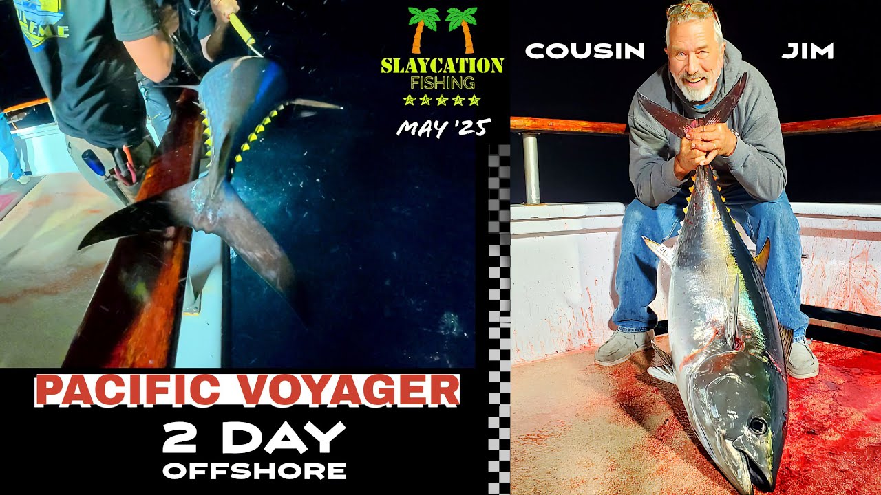 B-DAY BLUEFIN TUNA 2025 | Pacific Voyager 2 Day Offshore Seaforth Landing San Diego