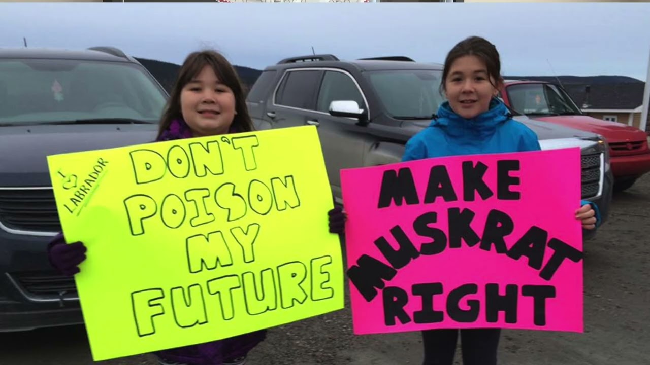 NunatuKavut Community Council 40th Anniversary Video