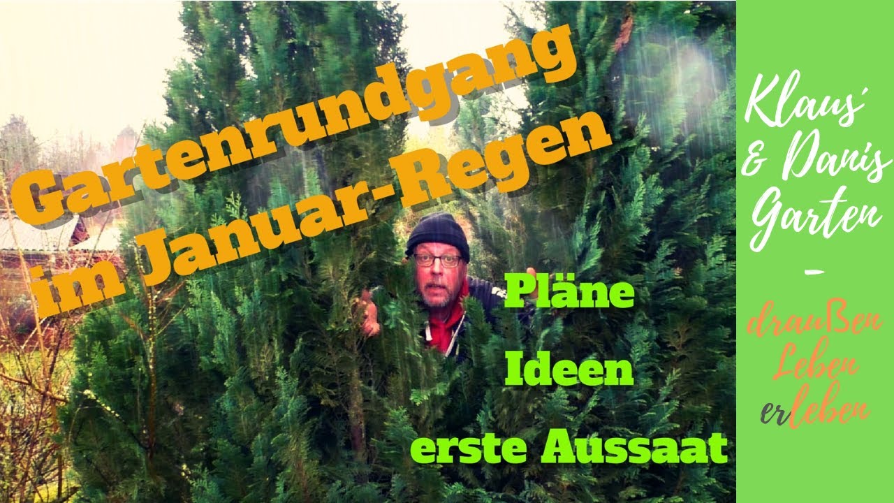 Gartenrundgang im Januar-Regen / Zeit für erste Experimente