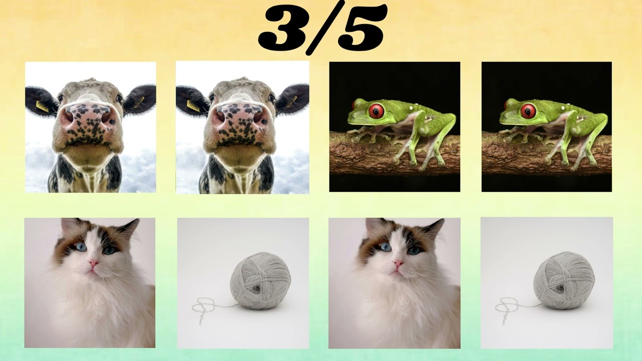 Di la palabra al ritmo – Nivel 1 a 3 | Fácil - Medio - Difícil