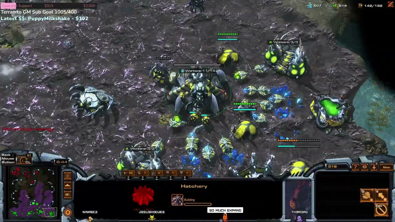 StarCraft 2: Nina (Z) vs (P) 【Map: 10000 Feet】