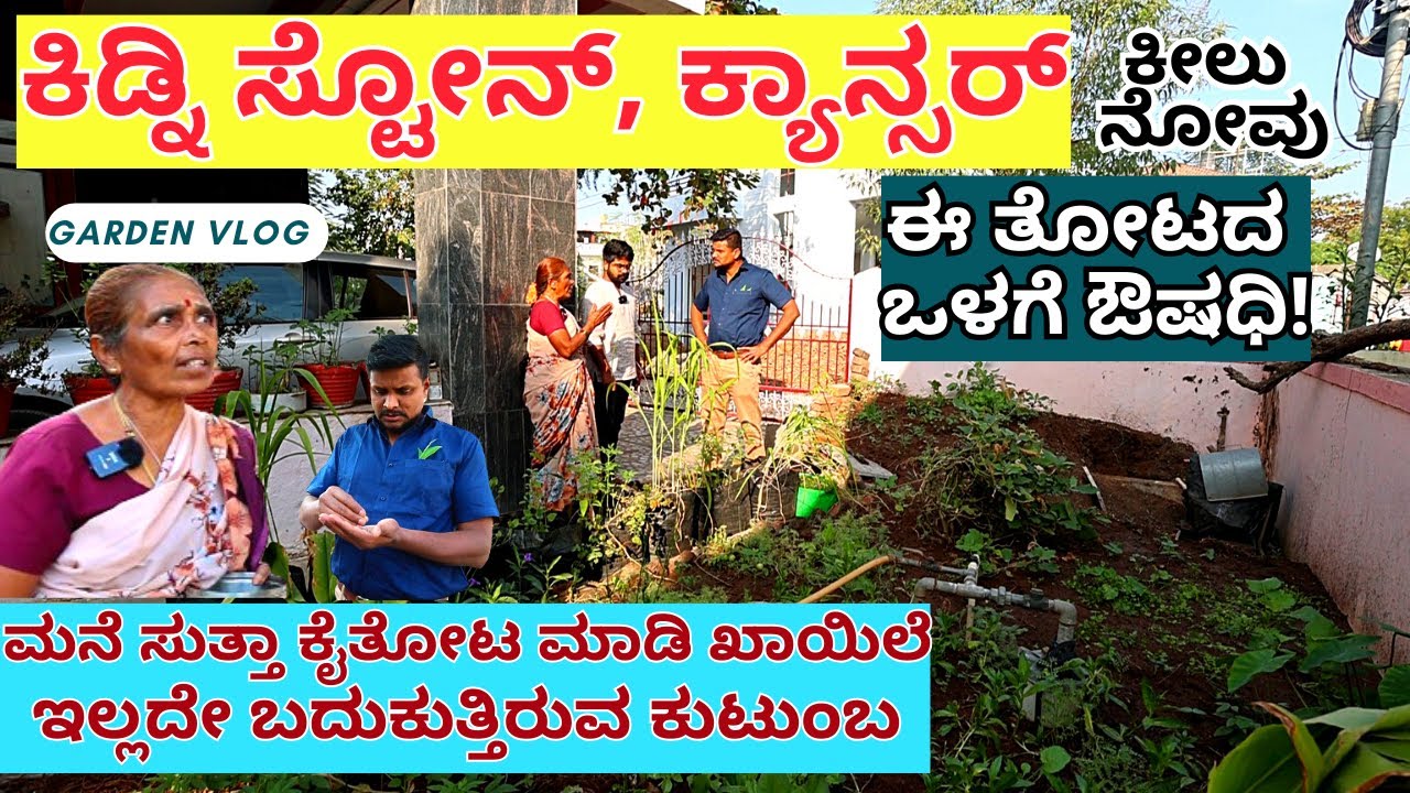 FARM TOUR-ಮನೆಯ ಸುತ್ತ ತೋಟ ಮಾಡಿ ಖಾಯಿಲೆ ಮುಕ್ತರಾಗಿ ಬದುಕುತ್ತಿರುವ ಕನ್ನಡ ಟೀಚರ್!-Home Garden-Kalamadhyama