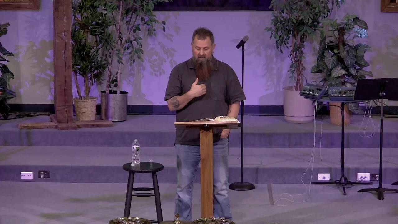 The Whole Story| Genesis 6-9 Jesus the True Ark