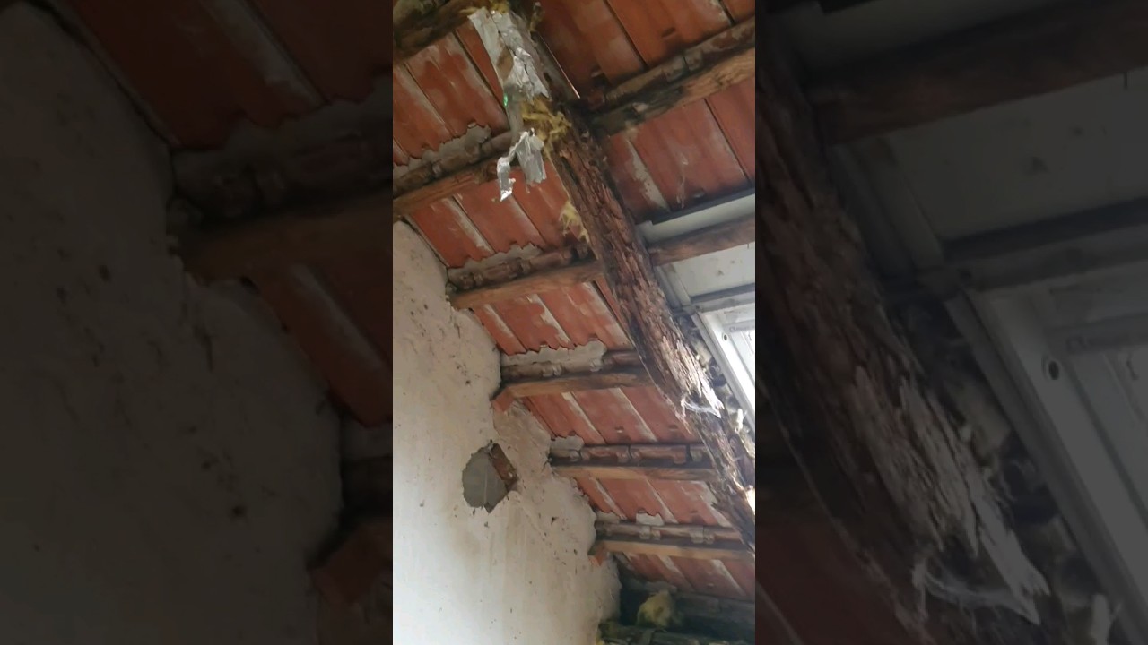 Altbau Umbau #bau #baustelle #dachstuhl #sparren