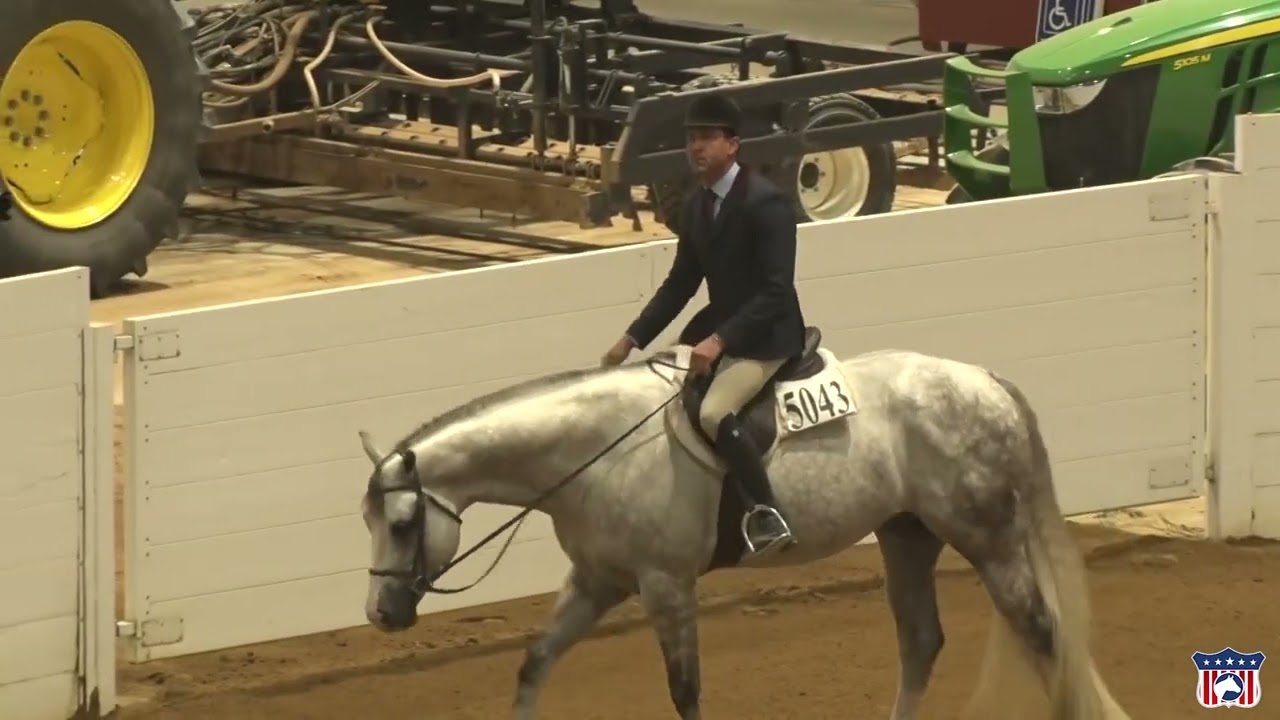 2023 Quarter Horse Congress Open Versatility Hunter Under Saddle & Western Pleasure