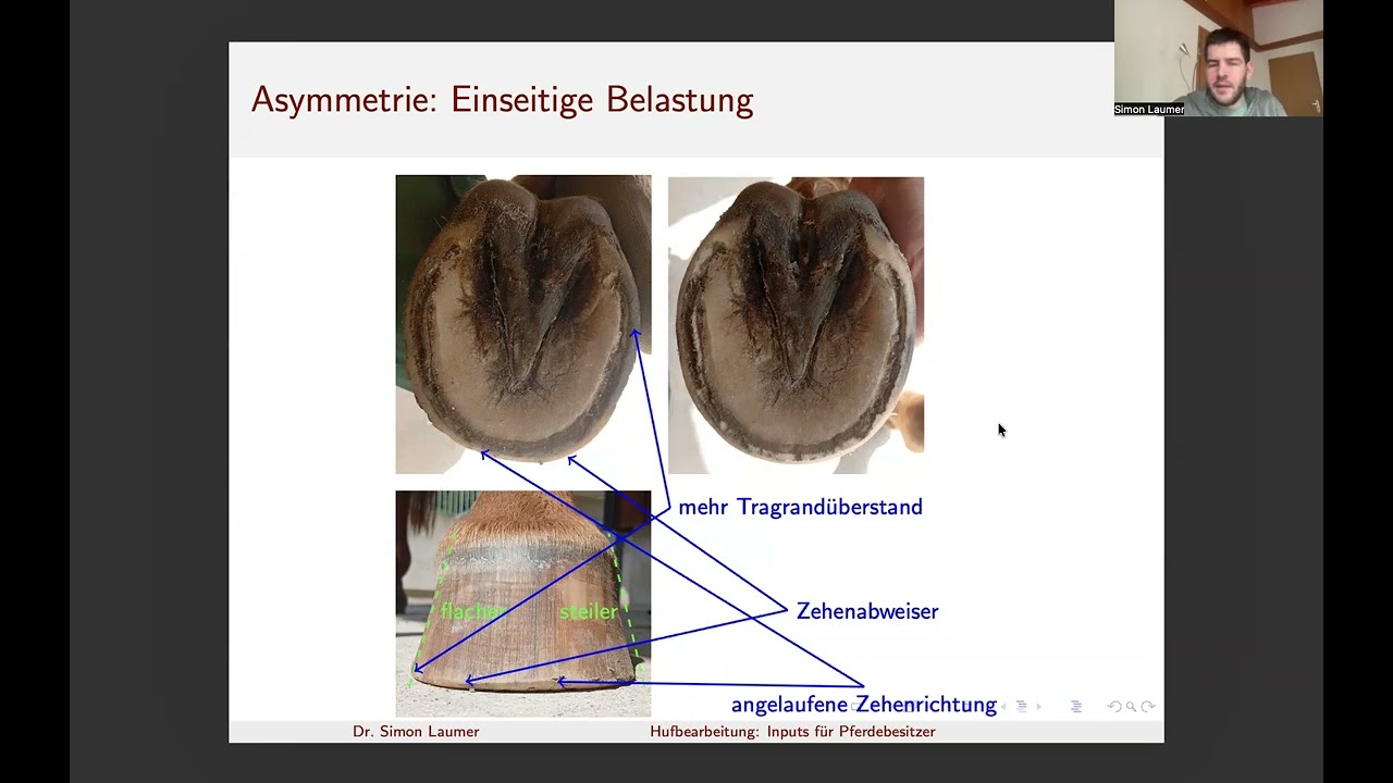 Hufbearbeitung: Inputs für Pferdebesitzer, 4.8) Asymmetrie