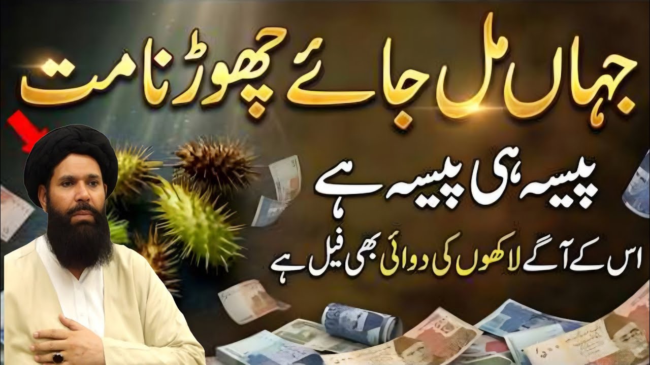 Jahan Mil Jaye Chorna Mat | Ye Jangli Phal Apko Ameer Bana De Ga | Qudrat Ka Anmol Khazana