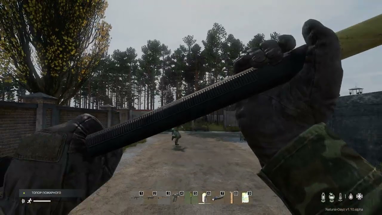 DayZ 2023 01 15   21 44 41 10
