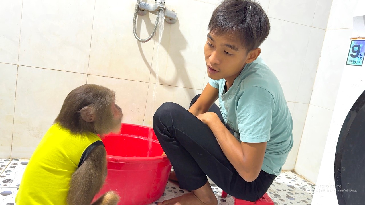 Too Funny! CUTIS’ Bathroom Antics Leave Dad Speechless