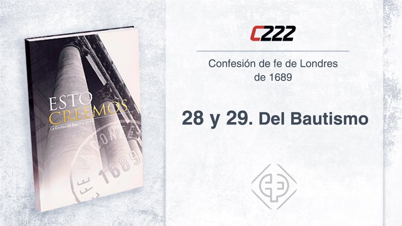 28 y 29. Del bautismo - Patricio Ledesma