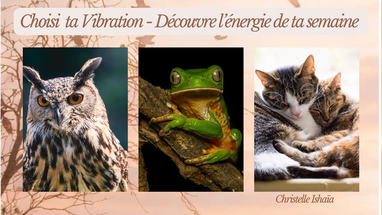 12 février 2026