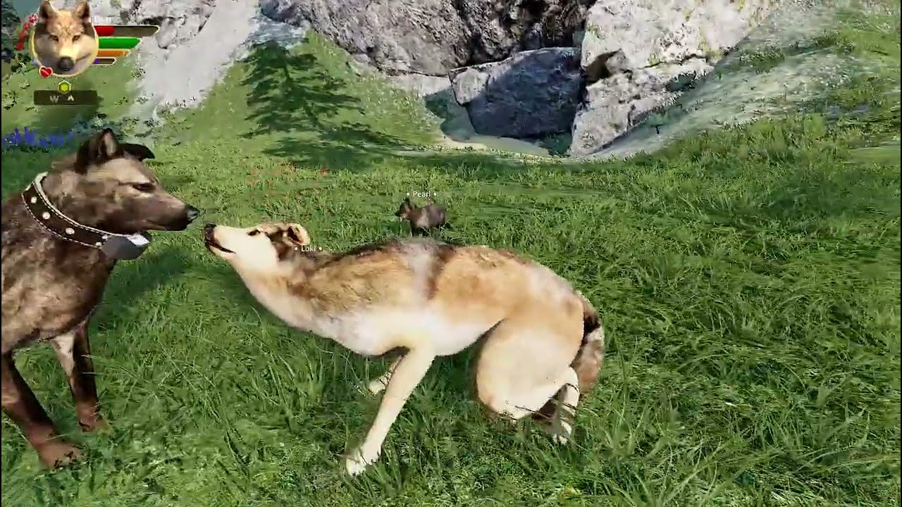 The End of Bear