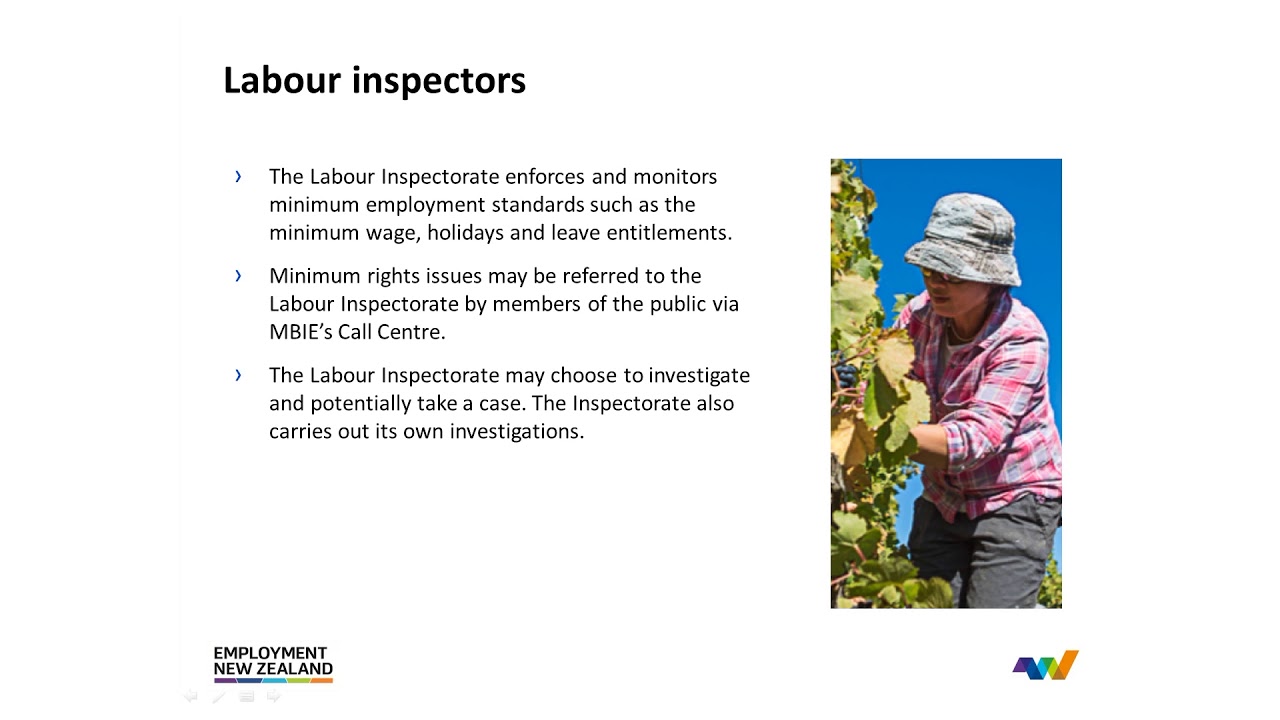 Labour Inspectors