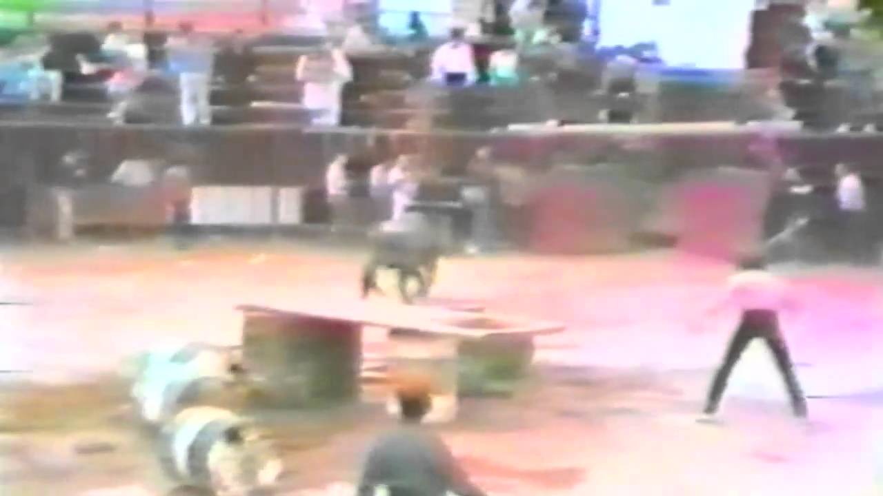 Toro Ratonero de Lucas (Villafames) Part.2