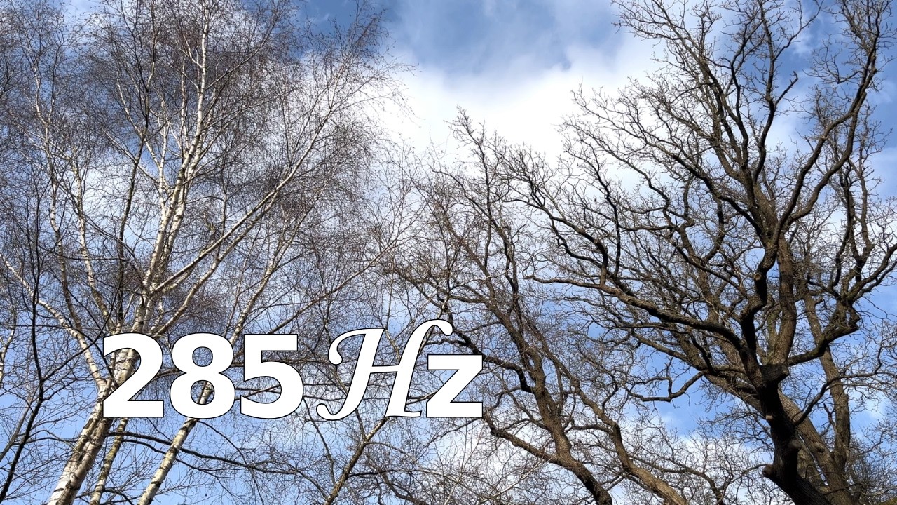 Regeneration & mentale Stärke ✨ 8 Hz Binaural Beats 🎧 Frequenzmusik