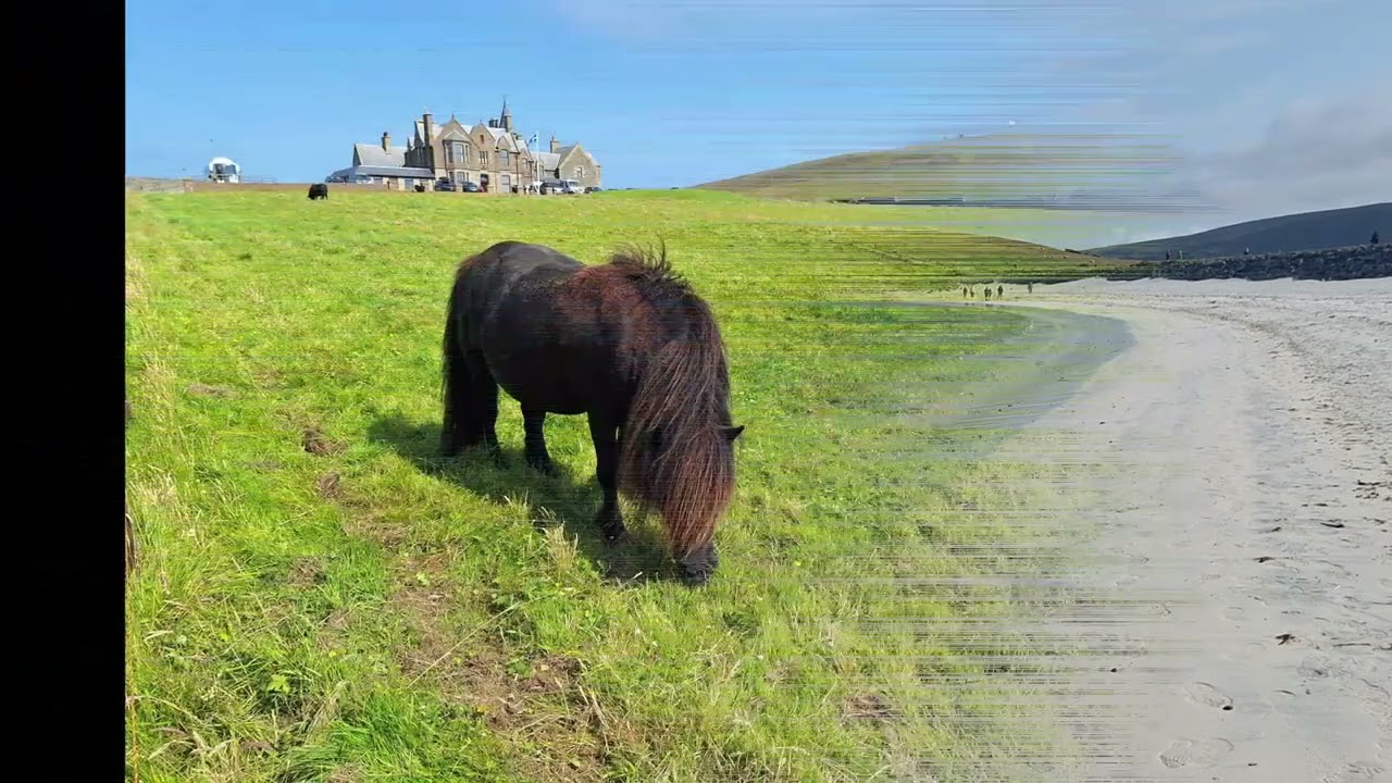 Shetland Islands & Scotland 2024