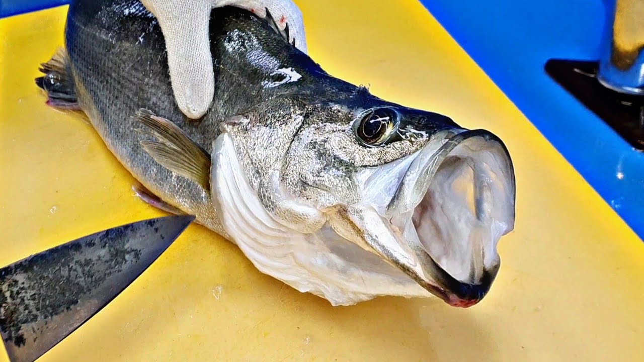 Сибас, начало сезона, сашими, рыбная отделка