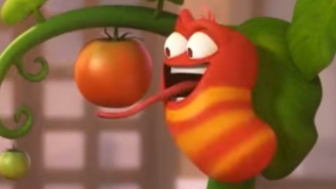 토마토 | Larva | 어린이를 위한 만화 | WildBrain 한국어