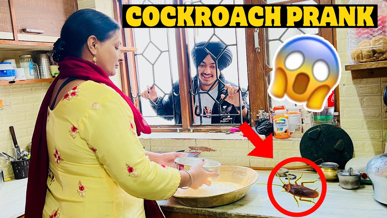 COCKROACH PRANK ON PARENTS AND FRIENDS 😳🔥||INDERAMGHARIA