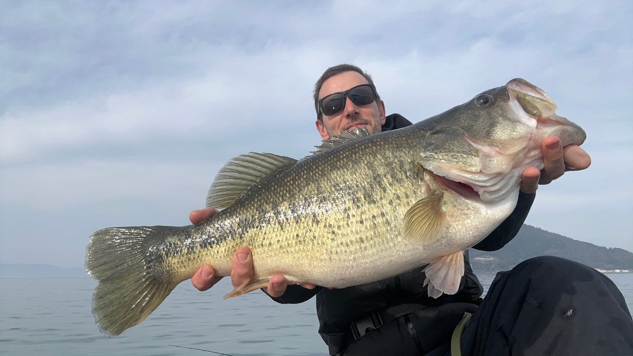 Biwa Lake winter 8lb bass fishing/pesca al bass in inverno in Giappone /琵琶湖 冬のバス釣り/비와 호수 겨울철 배스 낚시