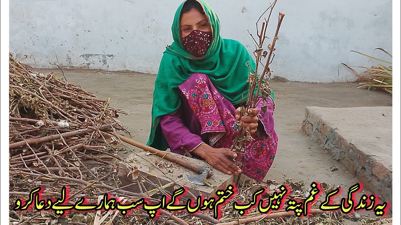 Yah jindagi ke gam pata nahin kab khatm honge Asma village vlogs
