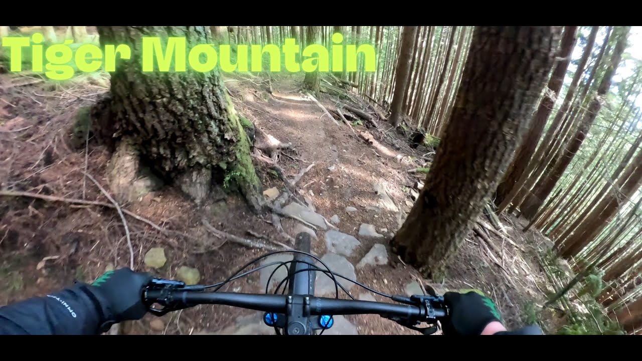Joyride - Tiger Mountain