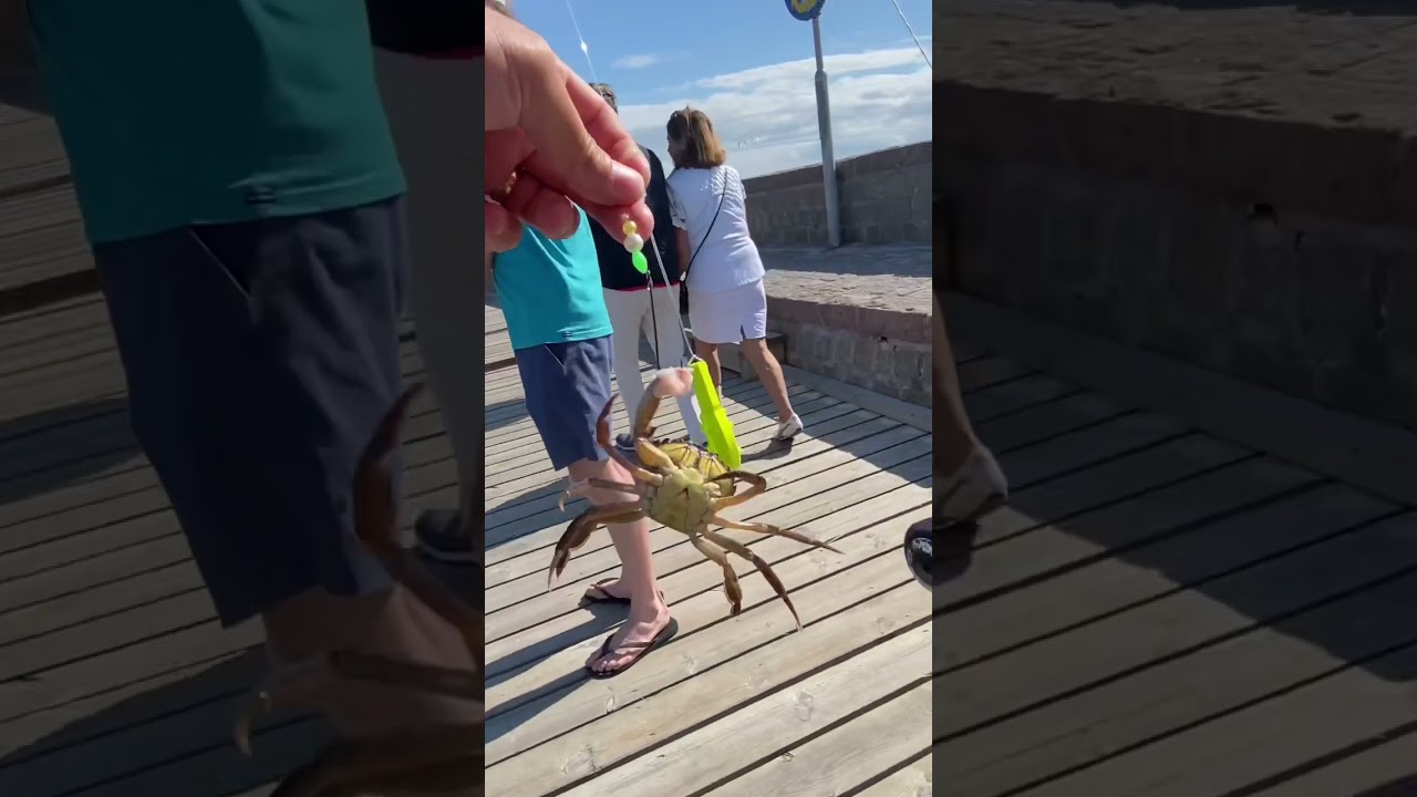 Was fishing for flatfish