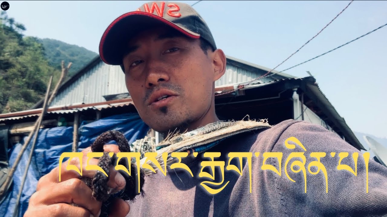 ཁང་པ་གསར་རྒྱག་བྱེད་བཞིན་པ།  བརྙན་བཤད།  གྲོང་གསེབ་འཚོ་བ།  གངས་ཕྲུག ​⁠@Gangtruk76