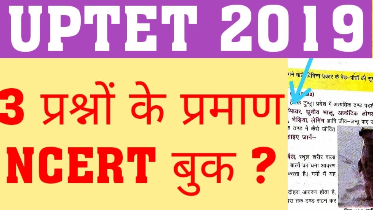 UPTET 2019 OBJECTION IN WRONG ANSWER | COMMON MARKS IN UPTET 2019 | UPTET 2019 WRONG QUESTION