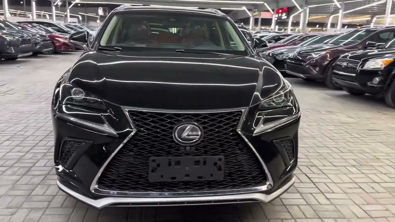 Lexus NX300 2019