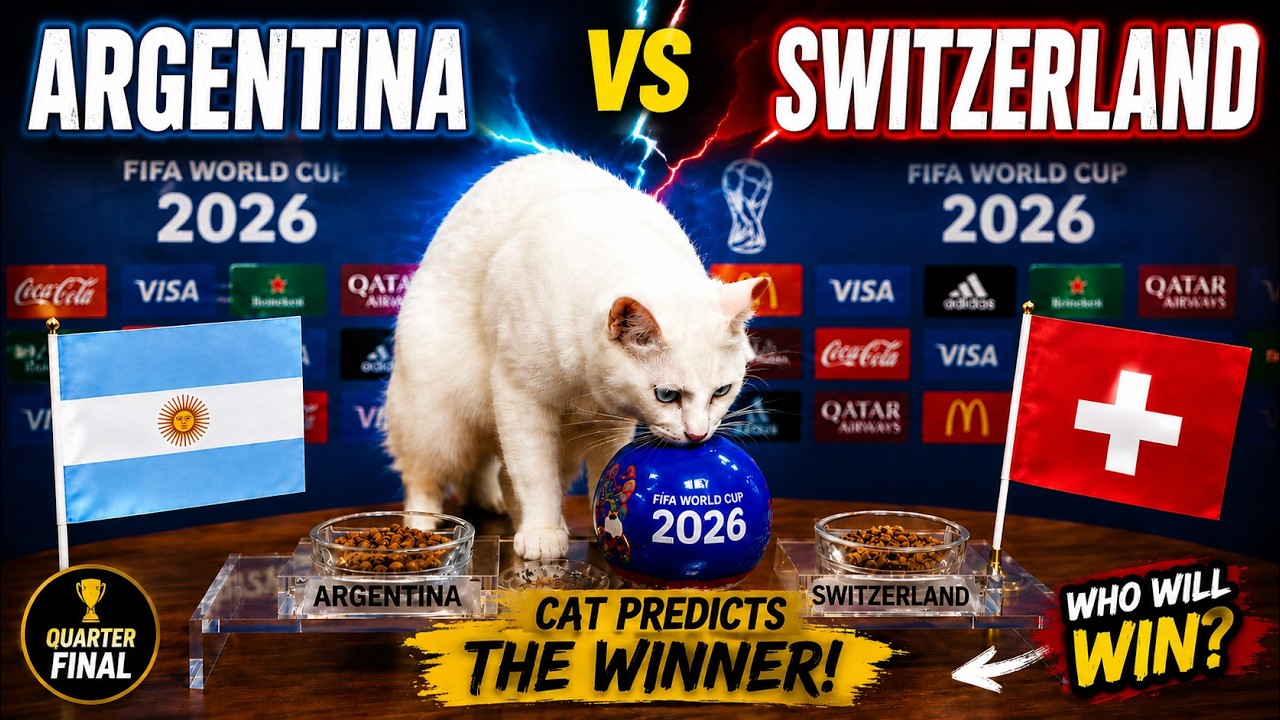 OMG! Argentina vs Switzerland Quarter final Cat Predicts FIFA World Cup